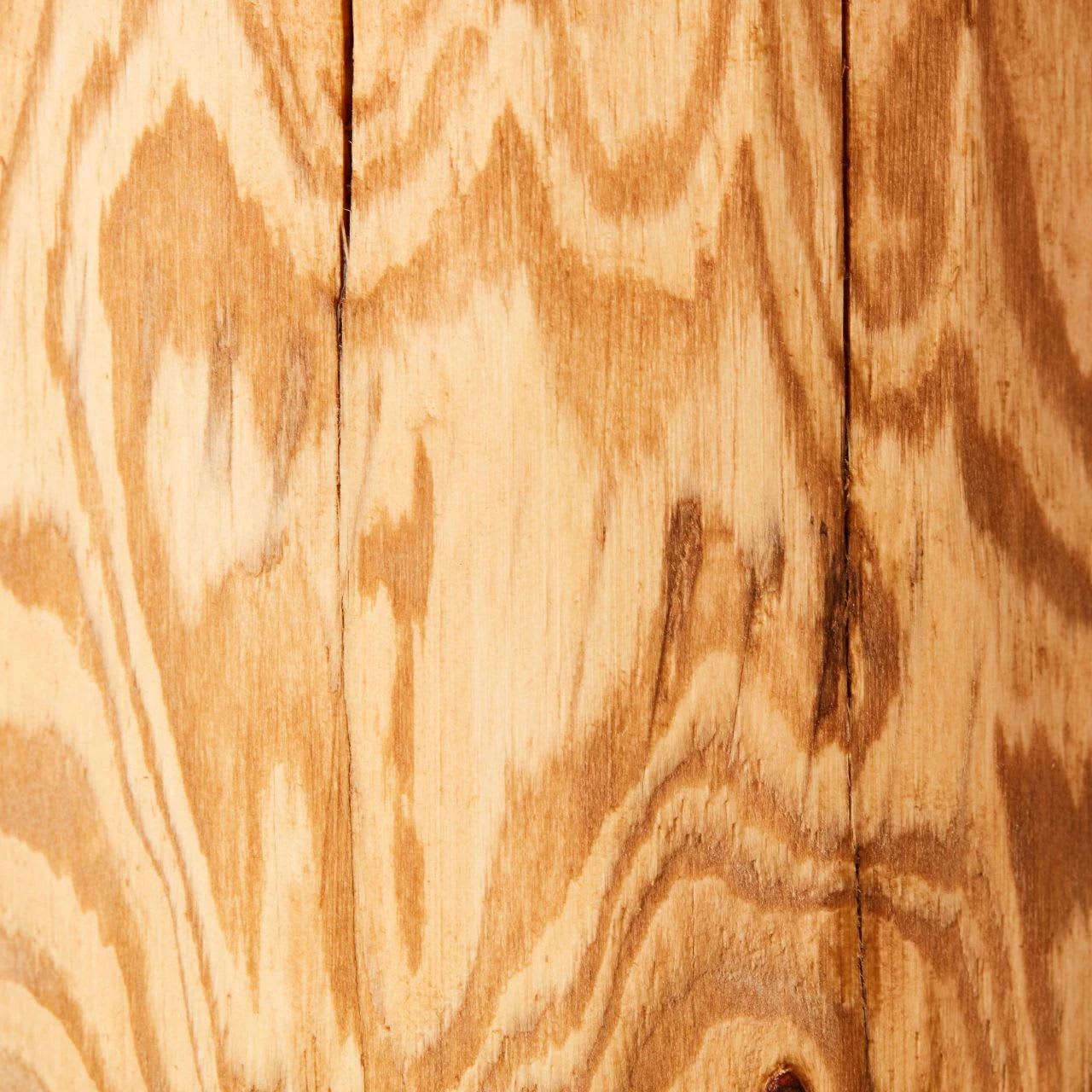 BRILLIANT Tischleuchte, 2-flammig Odun ⌀ 15 Cm In Kiefer Gebeizt 3 BRILLIANT Tischleuchte, 2-flammig Odun ⌀ 15 Cm In Kiefer Gebeizt – Bild 3