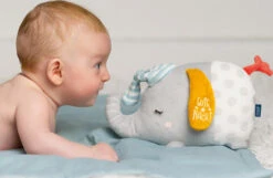 Fehn Nachtlicht Elefant 12 Fehn Nachtlicht Elefant -BRILLIANT Verkäufe fehn nachtlicht elefant 5